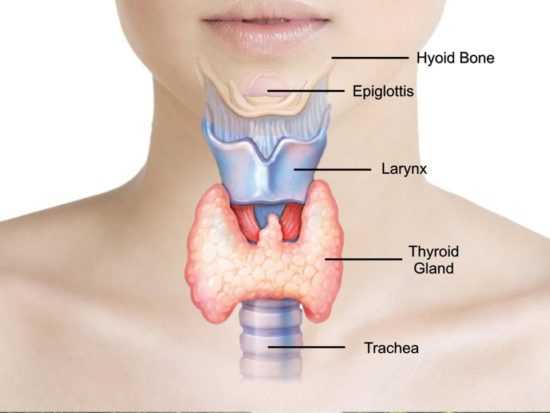 Заговор от щитовидки
