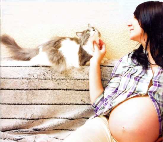 Беременная женщина и кошка